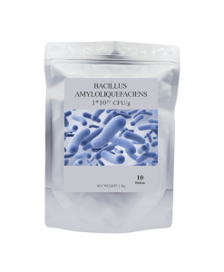 Bacillus amyloliquefaciens